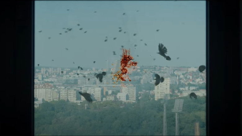 Still image for Black Wedding season 1 episode 8: Episode 8 Still image for Black Wedding season 1 episode 8: Episode 8