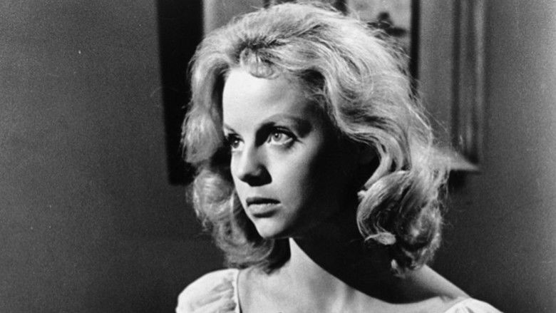 Gallery image from 5CosJGaPZ1ptiriSTcG36rTrOet.jpg