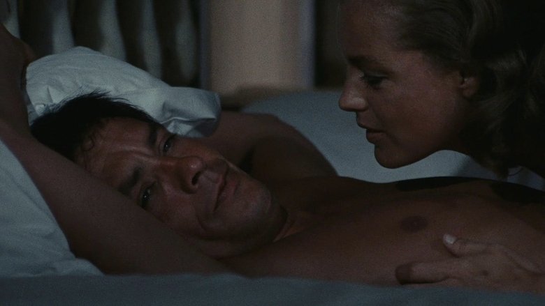 The Swimming Pool (1969)