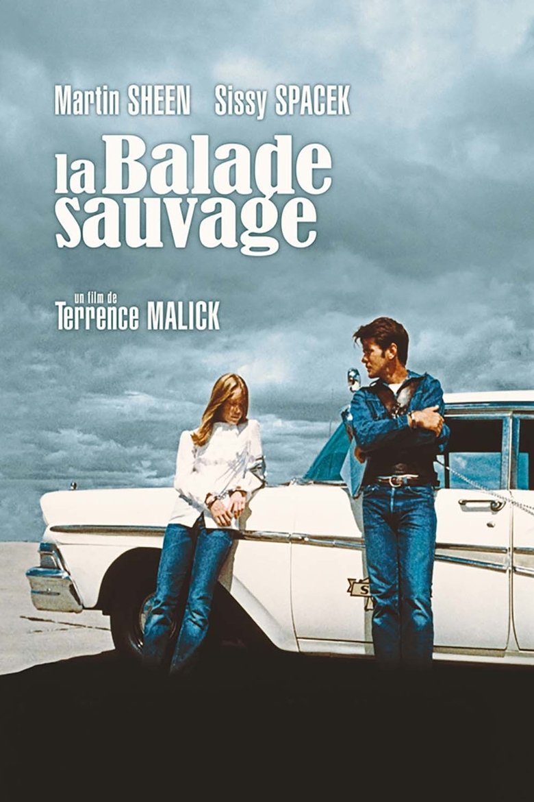 Poster du film La Balade sauvage