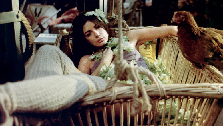 Image d'arrière-plan 8 du film Sweet Movie