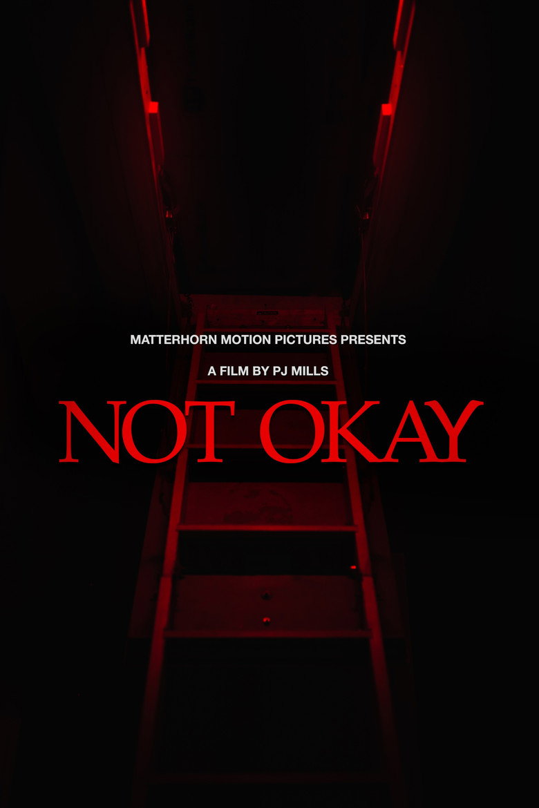 Imatge de Not Okay