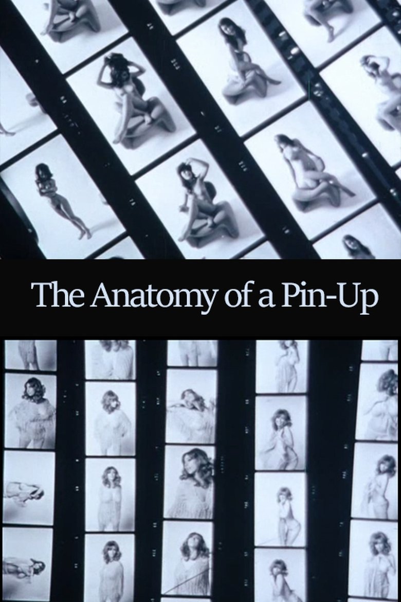The Anatomy of a Pin-Up main poster