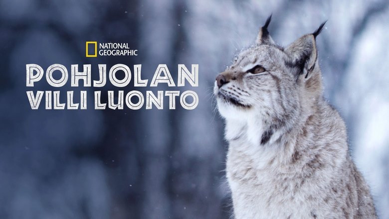 Gallery image from 5FJ6rG5BraMu844a3cCqrnK8Q0S.jpg