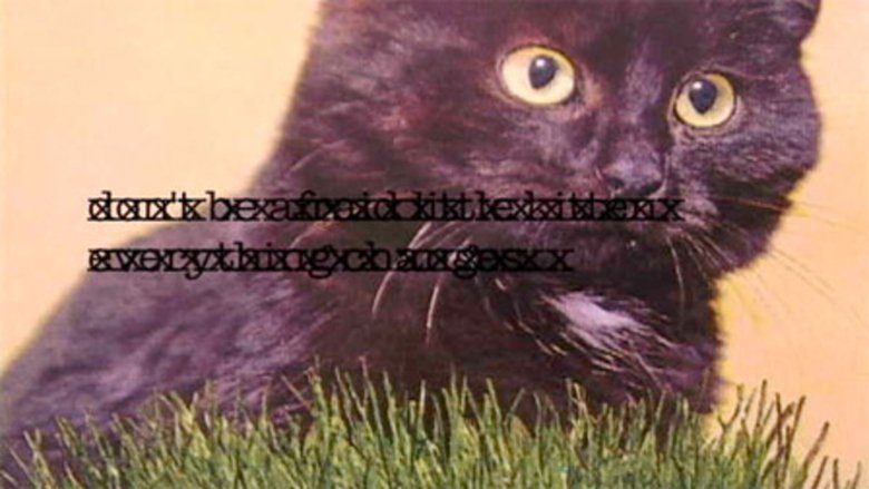 Gallery image from 5FSpGIIULZLYd9WsKRUlEPJG4KR.jpg