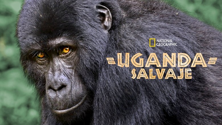 Gallery image from 5FTdYBhxZAzRLYzXxPVSlS4MWbT.jpg