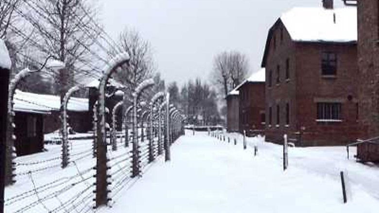 Copacabana - Auschwitz main backdrop