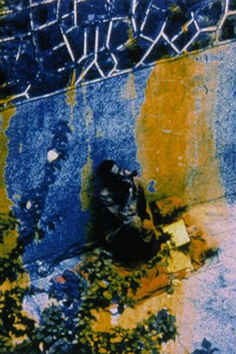 Imatge de Friendly Witness