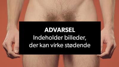 Still image for Mig og min pik/fisse season 1 episode 5: Episode 5