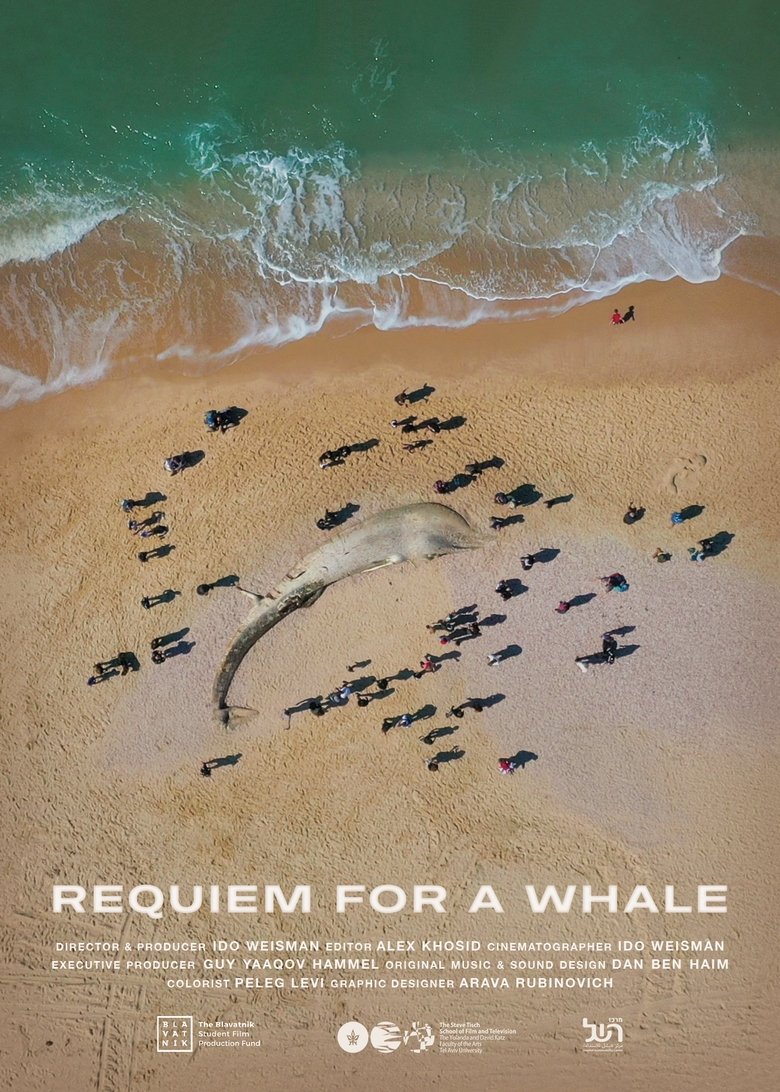 Requiem for a Whale main poster