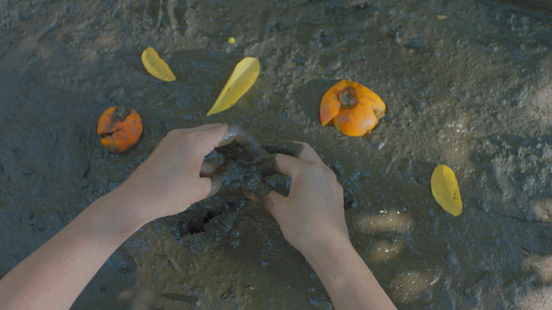 Gallery image from 5HsEADEM4o4mxQO8pyEVaN3N8u6.jpg