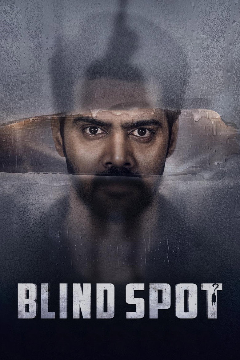 Blind Spot (2025 film) — affiche