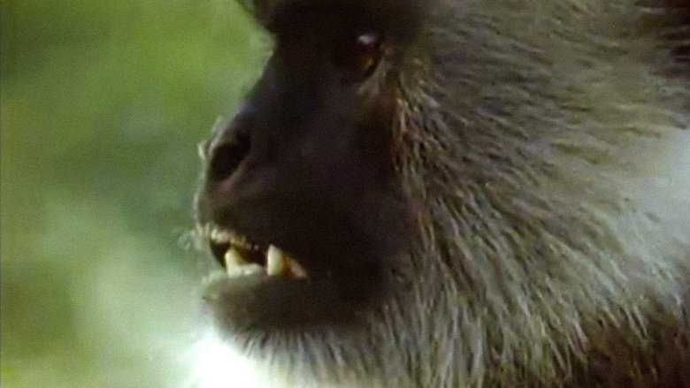 Still image for Trials of Life season 1 episode 8: Fighting Still image for Trials of Life season 1 episode 8: Fighting