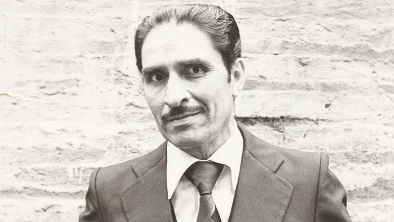 The Chinese Shoe image 2