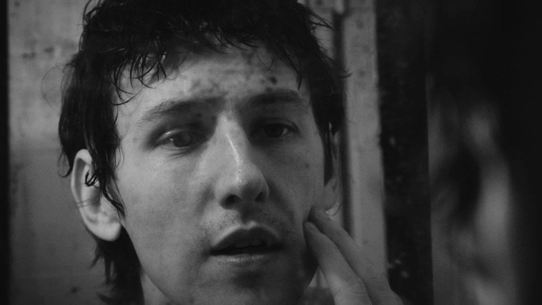 Image d'arrière-plan 3 du film Shark Muscle