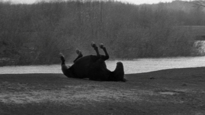 Andrei Rublev (1966)