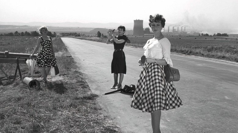 Gallery image from 5Jt2O857406R544DOzkbW9wKv7r.jpg