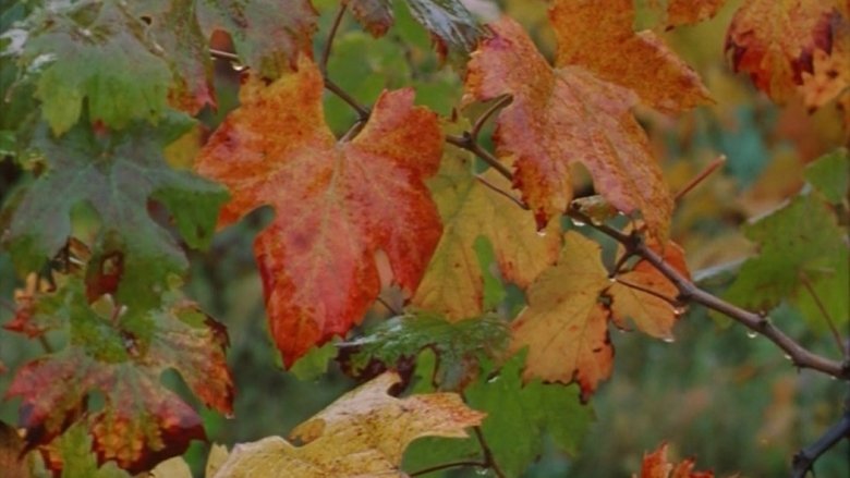 Gallery image from 5JxjnhKFkzBdEyZjCK0QU8F0MPs.jpg