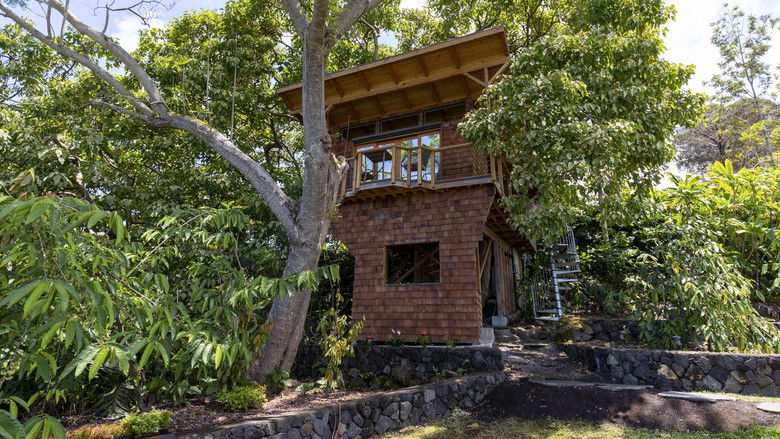 Still image for Beach Cottage Chronicles season 1 episode 6: Kona Treehouse