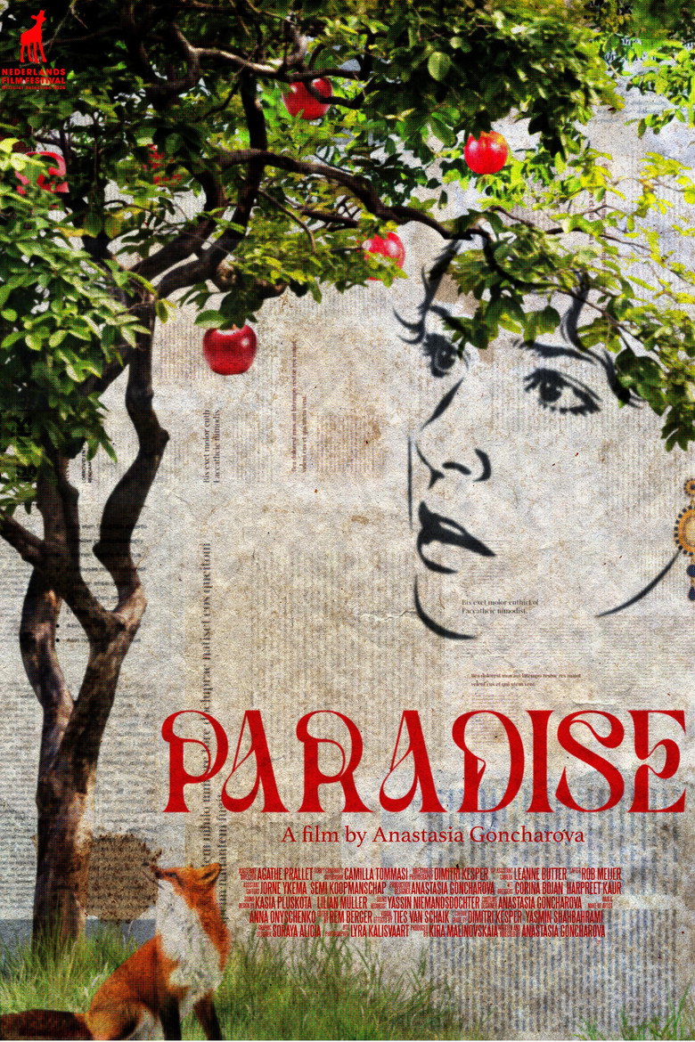 Imatge de Paradise