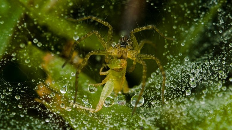 Still image for Wild City season 1 episode 6: Secret World Still image for Wild City season 1 episode 6: Secret World