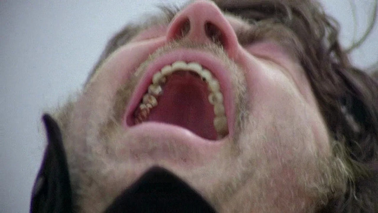 Imatge de The Shout