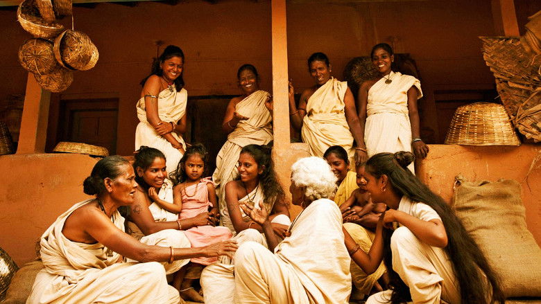 Image d'arrière-plan 4 du film Aatti