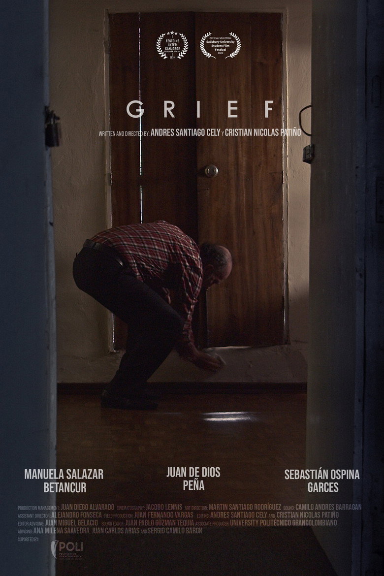 Affiche de DESARRAIGO