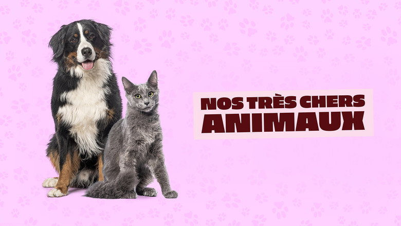 Nos très chers animaux Screenshot 2