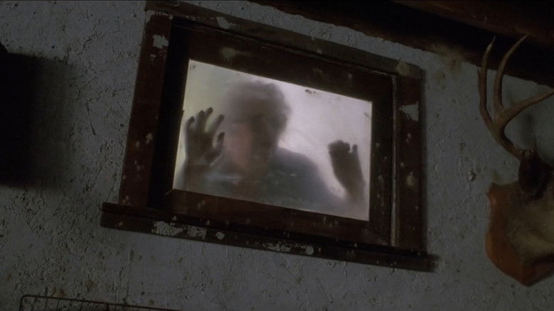 Imatge de Grandmother's House