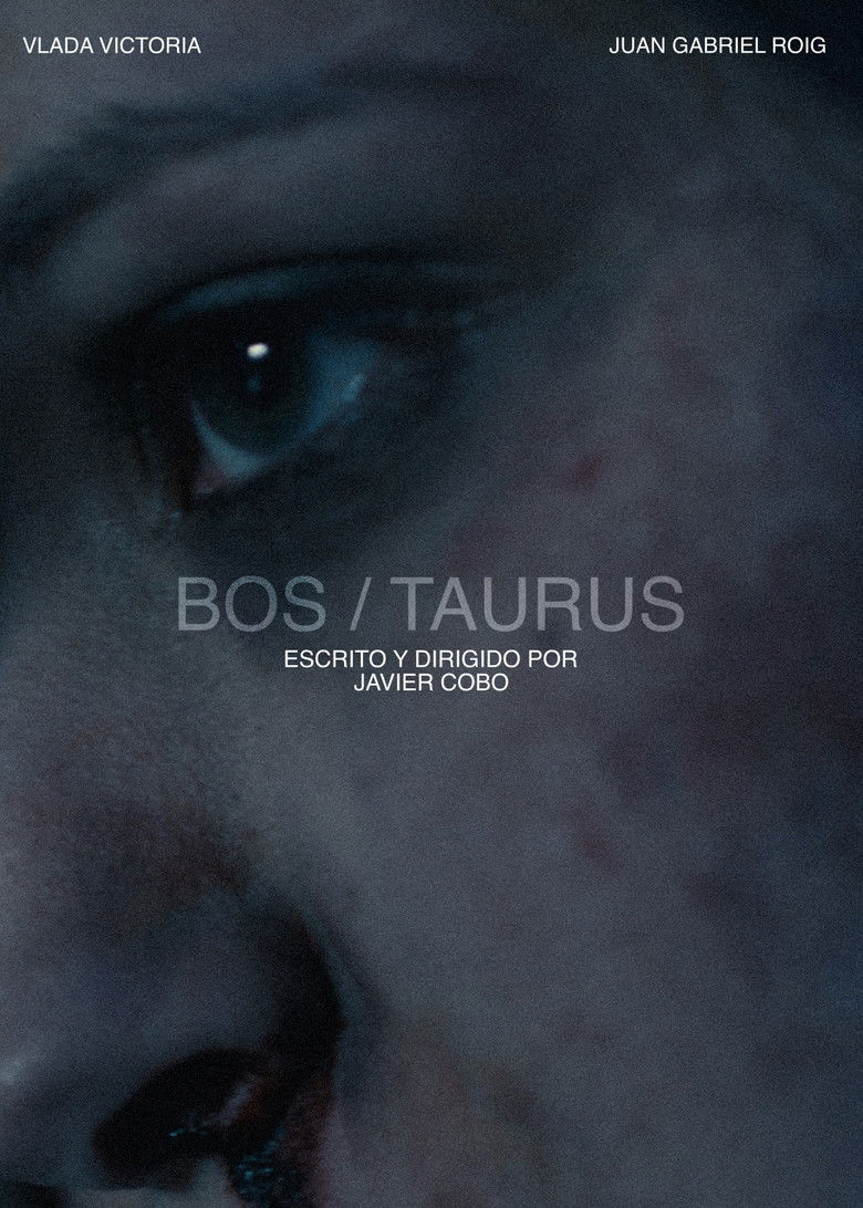 Imatge de Bos/Taurus