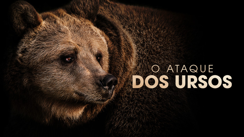 Gallery image from 5N7CatkXY2ypJc1KxqIfoydf6il.jpg