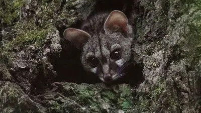 Still image for Les Pyrénées secrètes season 1 episode 1: Episode 1