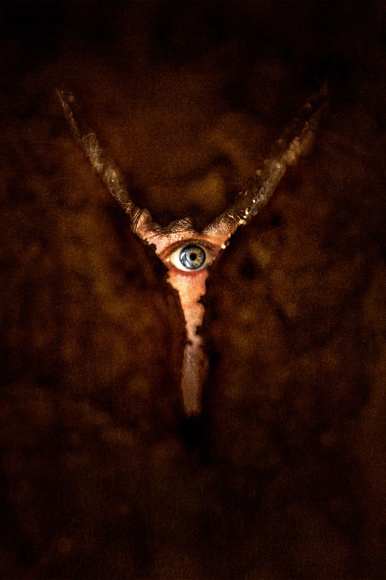 Imatge de Return to Silent Hill