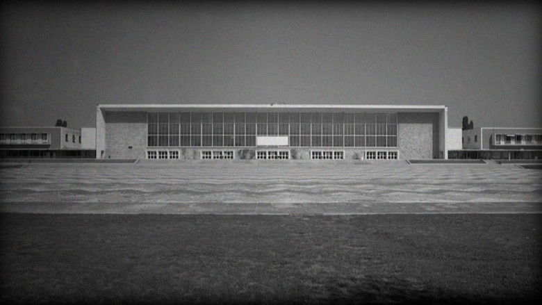 Gallery image from 5O7wvclptQrkOfo9jrHBM3WwehX.jpg