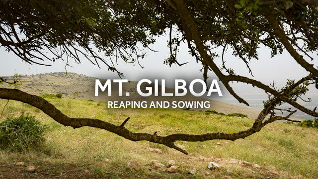 Still image for Bible Land Passages season 1 episode 4: In the Shadow of Gilboa: Reaping & Sowing Still image for Bible Land Passages season 1 episode 4: In the Shadow of Gilboa: Reaping & Sowing