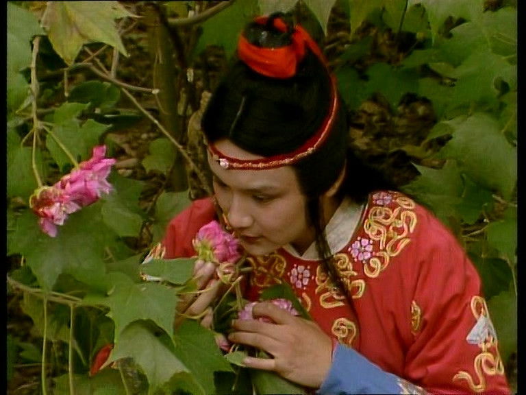 Still image for Dream in Red Mansions season 1 episode 29: Spoony Childe Writes a Dirge on Cottonrose Hibiscus Still image for Dream in Red Mansions season 1 episode 29: Spoony Childe Writes a Dirge on Cottonrose Hibiscus