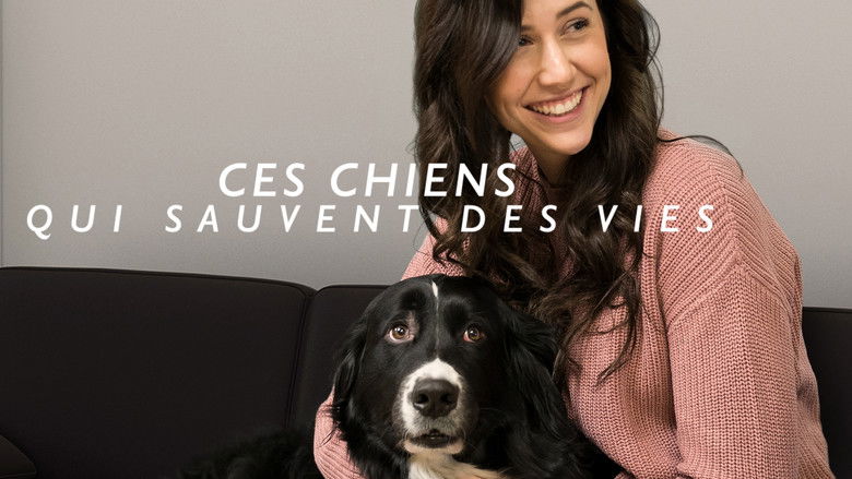 Ces chiens qui sauvent des vies