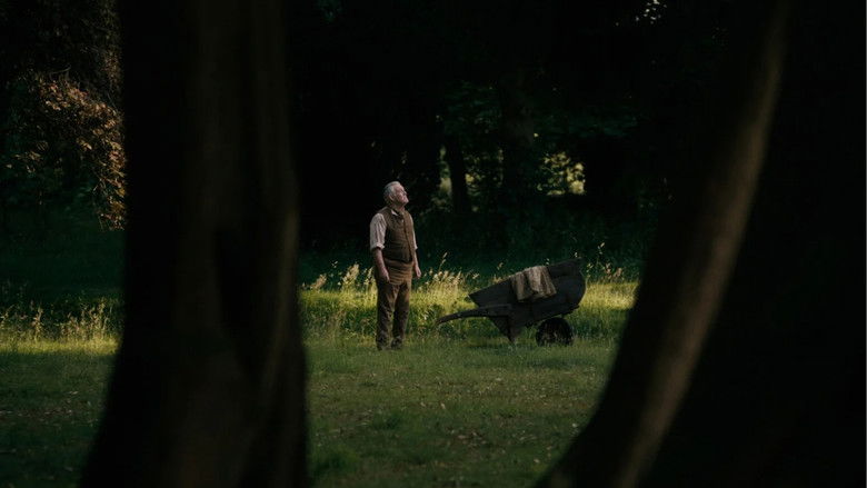 Gallery image from 5OfIew0rEcwDLQNC4E9Sqx3RlnZ.jpg