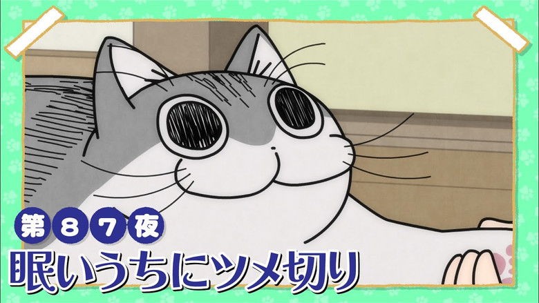 Still image for Nights with a Cat season 1 episode 87: Night 87: Trimming His Claws While He's Sleepy