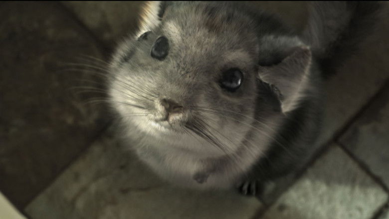 5op9ahysos0xlvwjbxrm0xuuhse