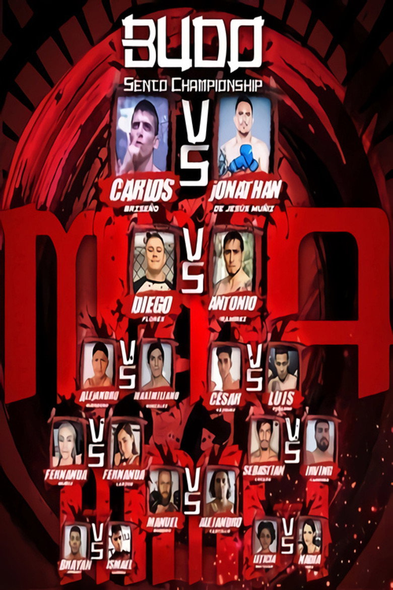 Budo Sento Championship 7 background