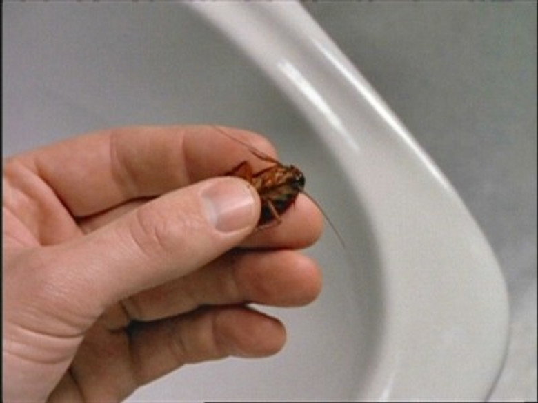 The X-Files S03E12 — War of the Coprophages episode still