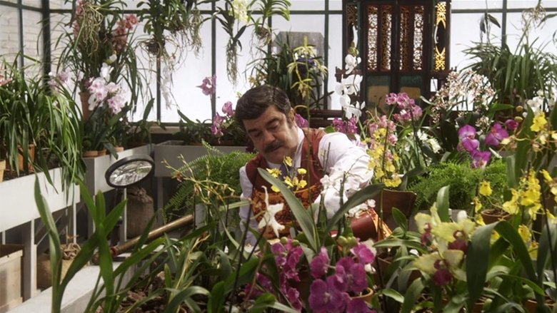 Still image for Nero Wolfe season 1 episode 6: Parassiti Still image for Nero Wolfe season 1 episode 6: Parassiti