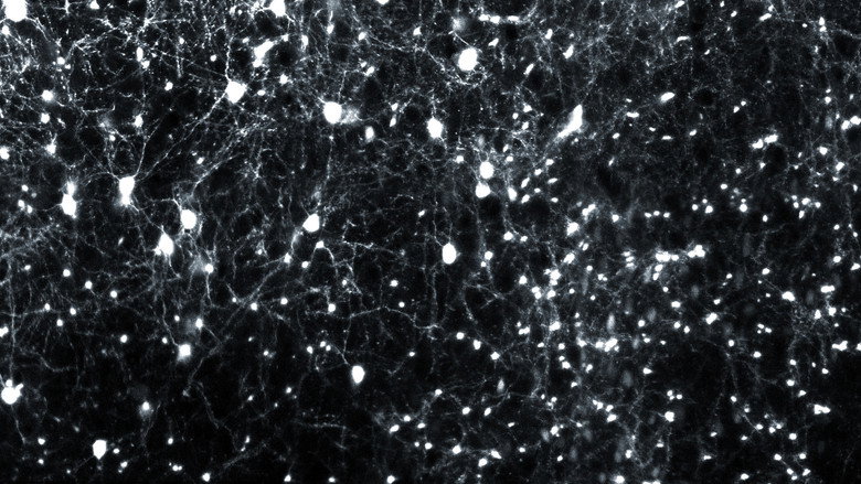 Movements arising from different relationships - Between regularity and irregularity II still 4