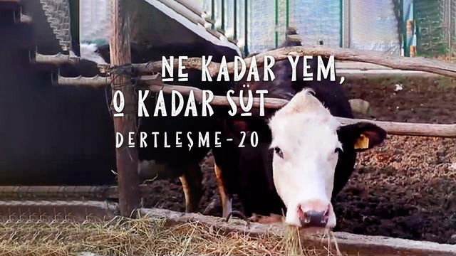 Still image for Dertleşme season 1 episode 20: Episode 20