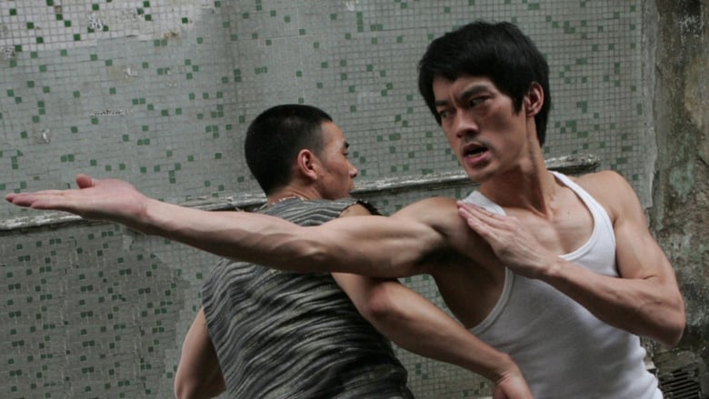 The Legend of Bruce Lee (2010)