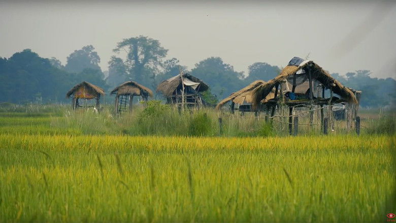 Still image for Herne Katha season 1 episode 19: Kinarako Katha