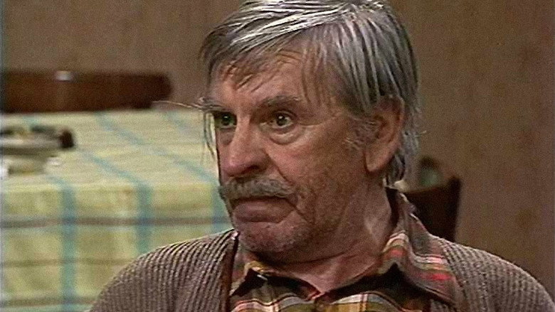 Image d'arrière-plan 1 du film Dědek