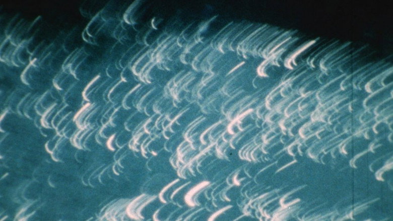 Still from Capitale-paysage